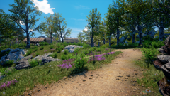 Sunflower-Grove-42