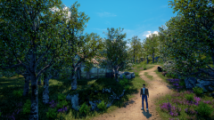 Sunflower-Grove-46