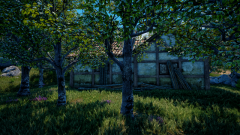 Sunflower-Grove-47