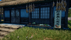 Sunflower-Grove-48