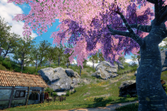 Ternary Spring