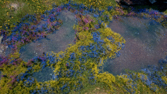 Ternary-Spring-10
