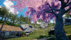 Ternary-Spring-11