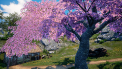 Ternary-Spring-12