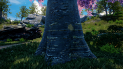 Ternary-Spring-14