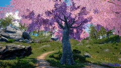 Ternary-Spring-27