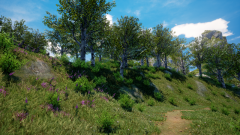 Ternary-Spring-28