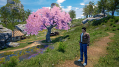 Ternary-Spring-33