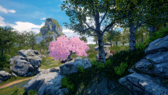 Ternary-Spring-4