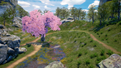 Ternary-Spring-7