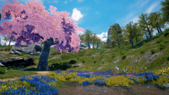 Ternary-Spring-9
