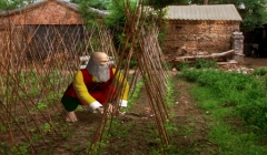 FARM
