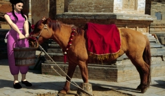 HORSE