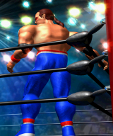 RINGSIDE